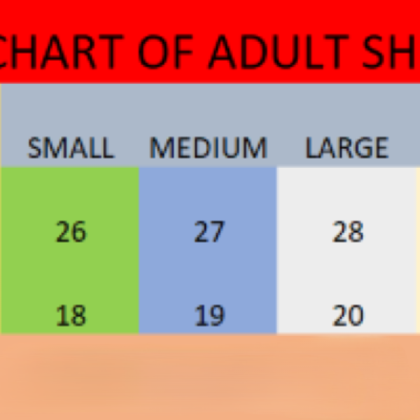 Virat Royal Challengers Bangalore 2025 home Jersey – RCB