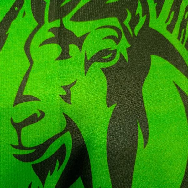 pakistan T20 World Cup 2026 Jersey –A